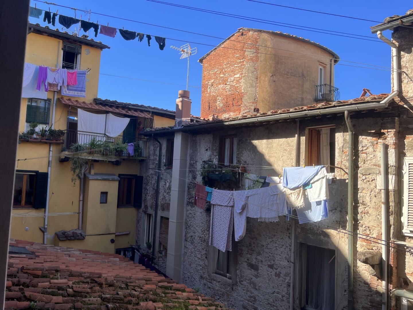 Casa Max