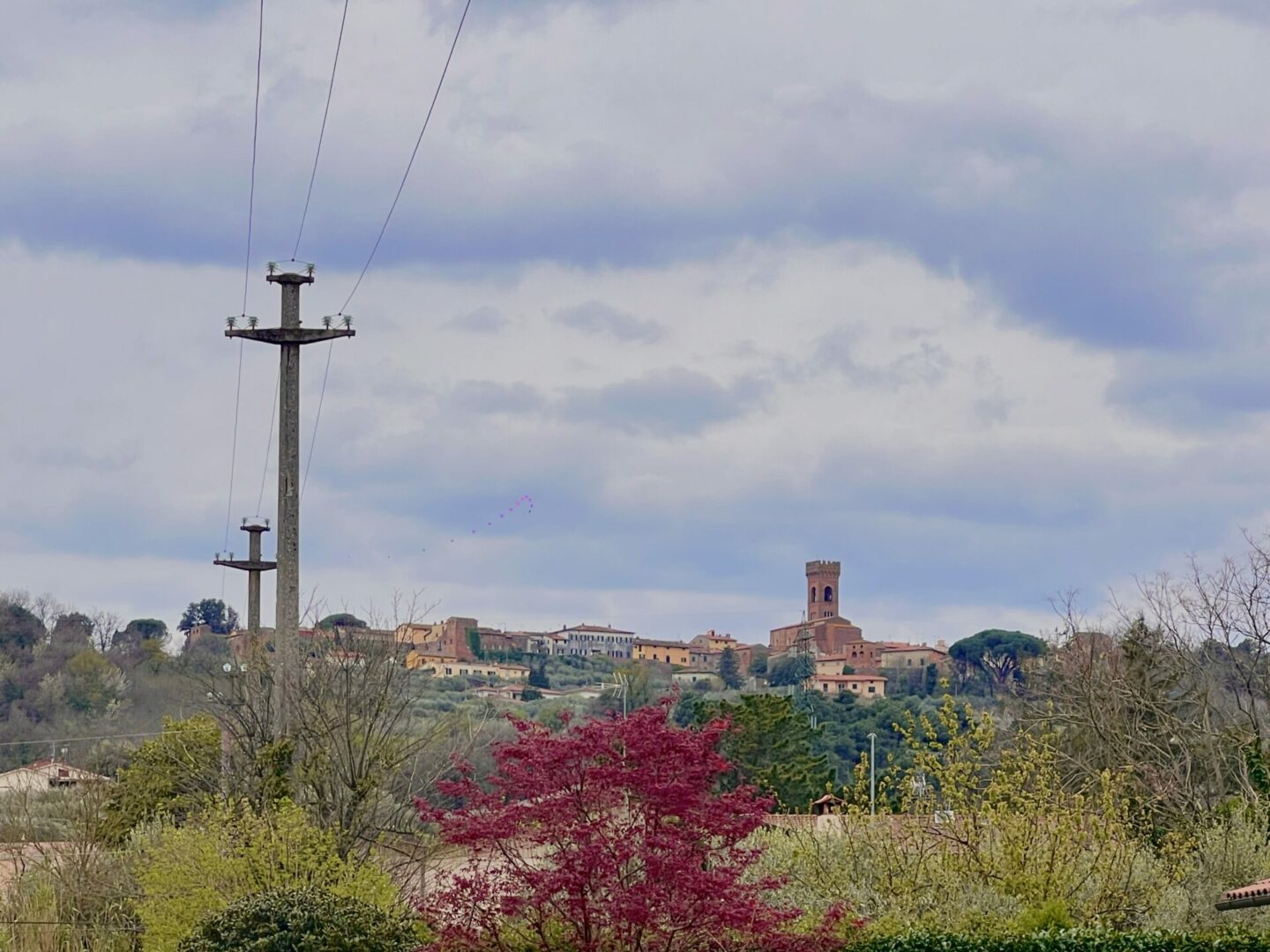 Villa Giulia a Montecarlo